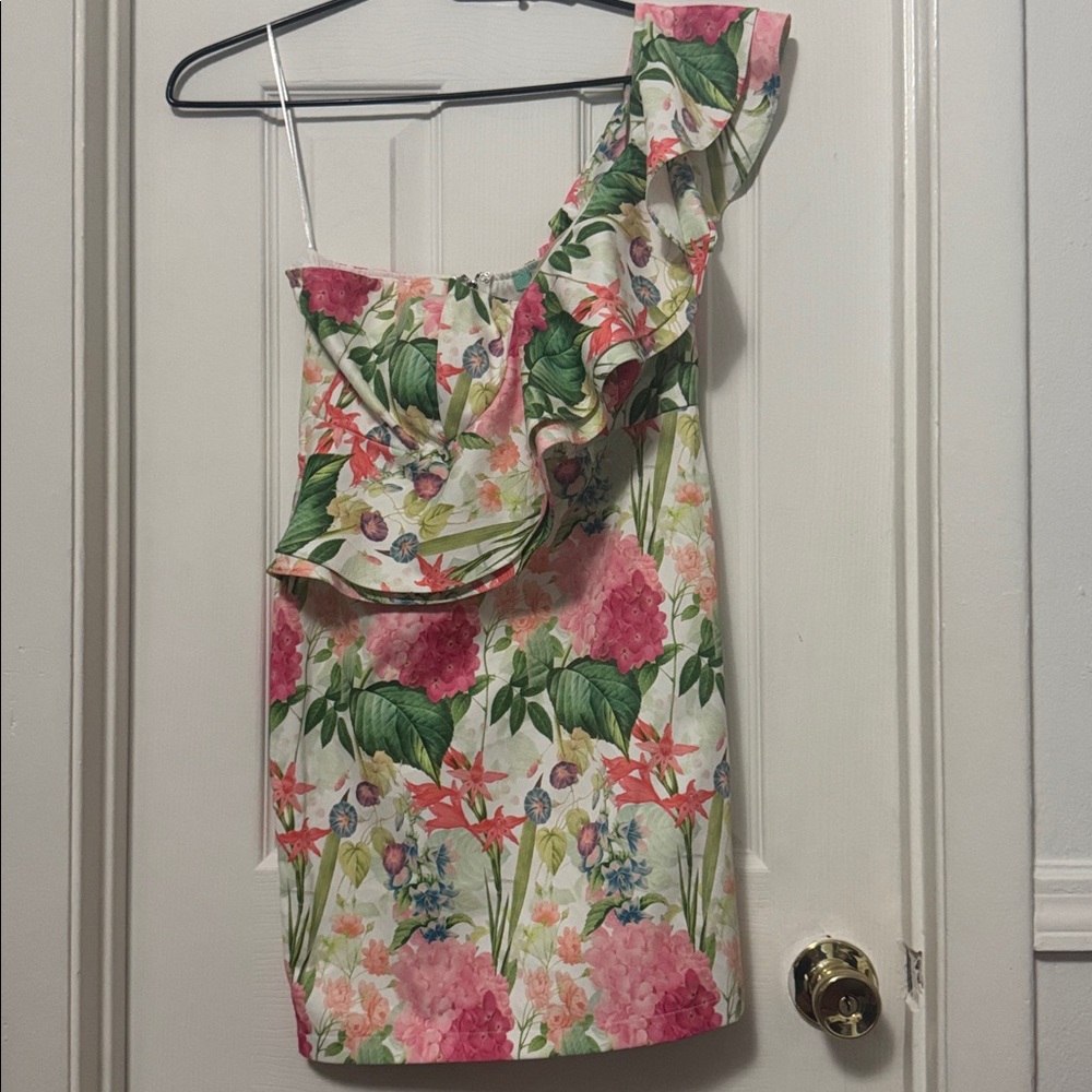 Karlie Green and Pink Floral Dress